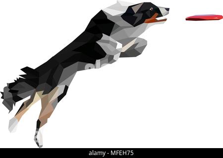 Low Poly Abbildung von Real aussehenden Hund springen und Fang Disc. Border Collie Holen einer Disc auf weißem Hintergrund. Stock Vektor