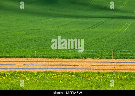 Wunderschöne Agrarlandschaft in Bettingen, Kanton Basel, Schweiz. Stockfoto