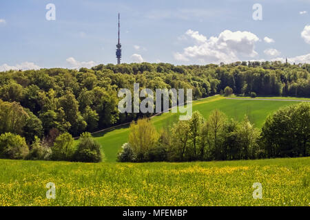 Wunderschöne Agrarlandschaft in Bettingen, Kanton Basel, Schweiz. Stockfoto