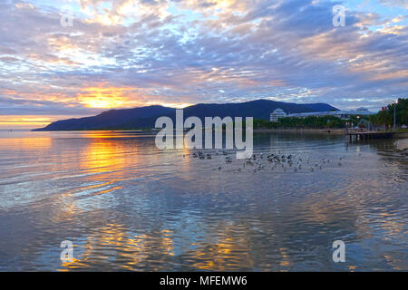 Am frühen Morgen bei Cairns marina Queensland mit Boote und clam Gewässern Stockfoto