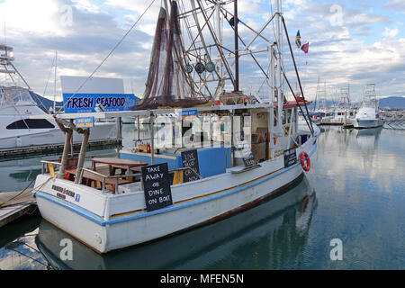 Am frühen Morgen bei Cairns marina Queensland mit Boote und clam Gewässern. Prawn Star schwimmenden Restaurant im Hafen Stockfoto