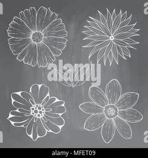 Hand gezeichnet Vintage florale Elemente auf der Tafel. Eingestellt von Blüten und Blättern. Vector Illustration auf texuted Schiefertafel Hintergrund isoliert Stock Vektor