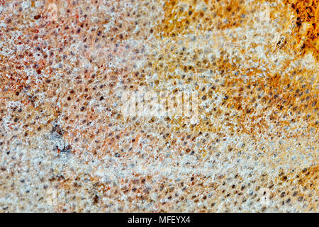 Makroaufnahmen von natürlichen Edelstein. Die Textur von versteinertem Holz. Zusammenfassung Hintergrund. Stockfoto