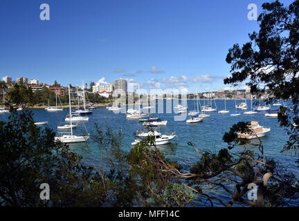 Manly Gebäude Skyline von wellings finden. Viele Yachten im Hafen von 40 Körbe Strand. Manly zu Spit Bridge Walkway. Stockfoto