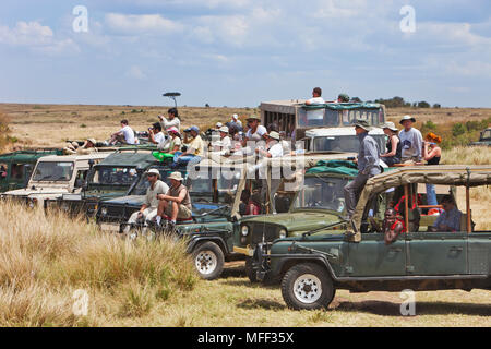 Touristen beobachten die Gnuwanderung Überquerung des Mara River. Bis zu 8000 Touristen kann ein Tag in der Masai Mara während der Migration Monate werden Stockfoto