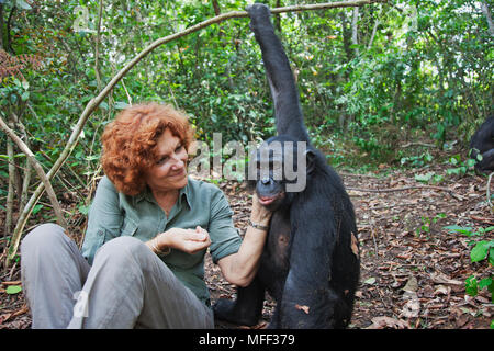 Claudine Andre mit Bonobos (Pan paniscus) Gründer des Heiligtums Lola Ya Bonobo Schimpansen. Demokratische Republik Kongo Stockfoto