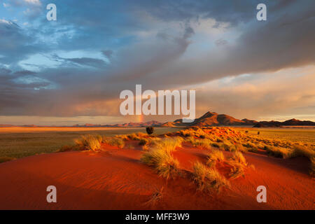 Sonnenuntergang Landschaft zeigt die einzigartige Ökologie der Namibwüste Südwesten oder pro - Namib. NamibRand Nature Reserve, Namibia