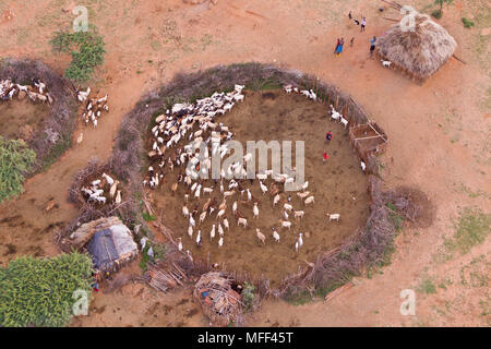 Luftaufnahme der Rendille Dorf Hütten und Vieh, Stifte, Kenia. Stockfoto