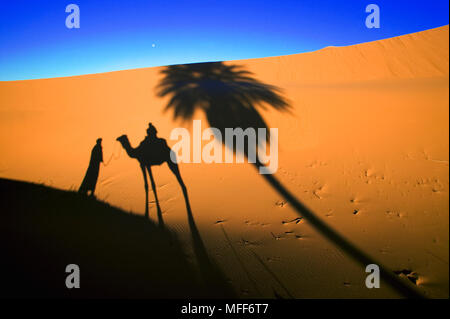 Schatten der touristische Reiten auf Kamel in den Sanddünen des Erg Chebbi, Sahara, Marokko. Stockfoto