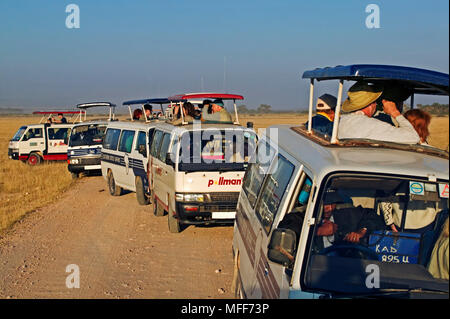 Große Gruppe von Tour Fahrzeuge in Wildlife im Amboseli Nationalpark in Kenia suchen Stockfoto