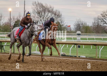 LEXINGTON, Kentucky/USA - 19. APRIL 2018: Zwei übung Mitfahrer auf Vollblüter während eines Trainings früh an einem kühlen Morgen bei Keeneland Race Course. Stockfoto