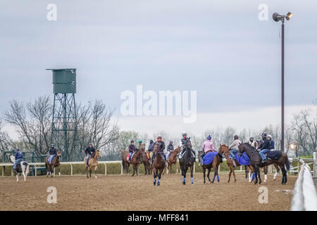 LEXINGTON, Kentucky/USA - 19. APRIL 2018: Reiter übung Thoroughbreds einzeln oder in Paaren während eines Trainings früh an einem kühlen Morgen bei Keeneland Rac Stockfoto