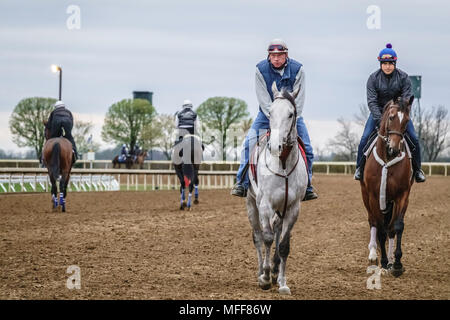 LEXINGTON, Kentucky/USA - 19. APRIL 2018: Übung Mitfahrer auf Vollblüter während eines Trainings früh an einem kühlen Morgen bei Keeneland Race Course. Stockfoto