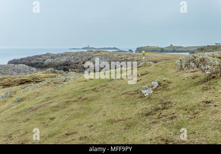 Ein Blick auf die zerklüftete Küste bei Rhoscolyn auf Anglesey. Stockfoto