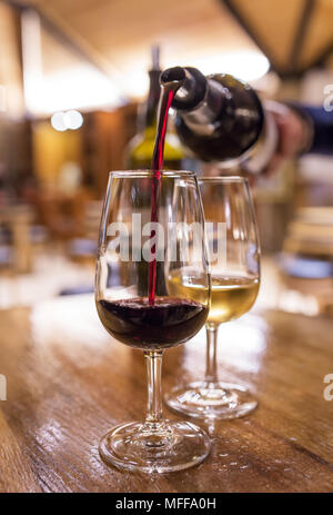 Verkostung von weißen und roten Portwein im Verkostungsraum in Porto, Portugal Stockfoto