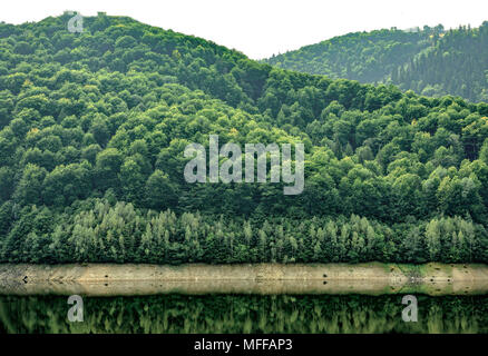 Tageslicht misty Blick auf Berge voller grüner Bäume sich auf oasa Stausee. Hellen Himmel. Negative Kopie Platz, Platz für Text. Sebes, Rumänien Stockfoto