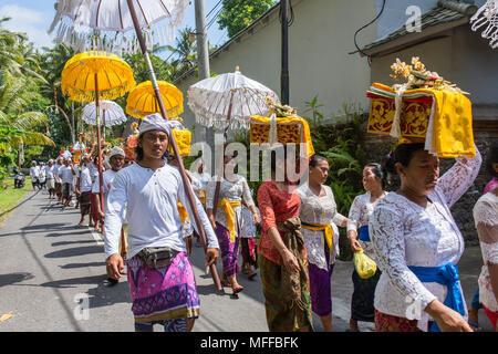 Bali, Indonesien - 16. September 2016: Traditionelle balinesische Prozession Fest Galungan Feier in Ubud, Indonesien Stockfoto