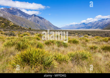 Mount Cook Nationalpark Aussicht vom Pfad zur Tasman Gletscher Neuseeland Island New South Neue zealandnew zealand South Island, Neuseeland Stockfoto