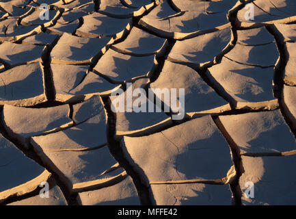 Getrocknete RISSIG SCHLAMM Wüste Namib, Namibia, im Südwesten von Afrika Stockfoto