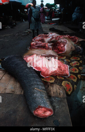 Buschfleisch Waldelefant Fleisch zum Verkauf am Markt, Gabun Stockfoto