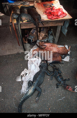 Buschfleisch zu Marktbedingungen, Gabun Stockfoto