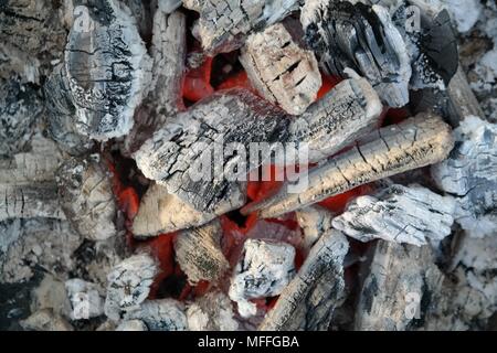 Ansicht von oben auf Holzkohle, weiß-graue Farbe. Die orangefarbene Farbe der brennenden Kohlen am Boden eines Grills. Stockfoto