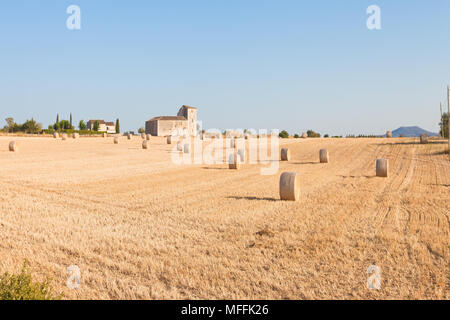 Santa Margalida, Mallorca, Spanien - die traditionelle Landwirtschaft der Anbauflächen in der Nähe von Santa Margalida Stockfoto