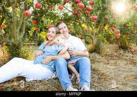 Portrait von Happy husbent und schwangere Frau mit niedlichen Baby Mädchen Tochter in Ruhe und Spaß in der pomegrate Obst Garten. Familie Zeit verbringen. Sonnen Stockfoto
