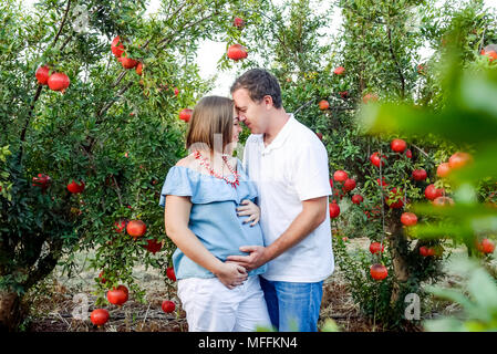 Portrait von Happy Family im pomegrate Obst Garten. Mann umarmen und halten die Hand auf Magen, der seine schwangere Frau. Fruchtbarkeit Konzept. Sonnenuntergang li Stockfoto