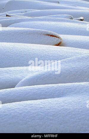 Frischer Schnee liegt auf den Wogenden zurück von der Kanus und Kajaks auf Hove Strand gespeichert, Sussex, England, UK, von rosy Winter Dawn Licht geküsst Stockfoto