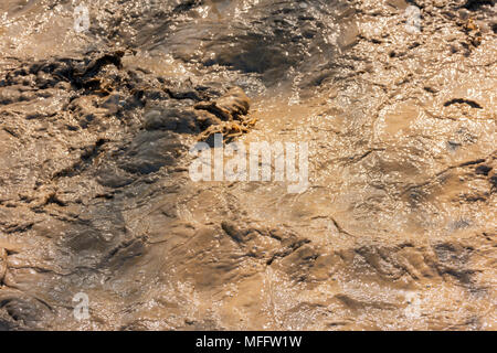 Eine stürmische Stream schmutziges Wasser im Fluss Stockfoto