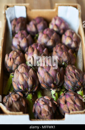 Frisches lila Artischocken in einem Markt Karton über einen rustikalen Holztisch. Stockfoto