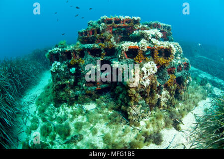 Ein künstliches Riff in zwischen der Posidonia oceanica Bett unter Wasser, Larvotto Marine Reserve, Monaco, Mittelmeer Mission: Larvotto marine Reser Stockfoto