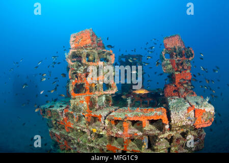 Einer der tieferen künstliches Riff versenkt, liegen auf dem Sand surraunded mit riffbarsche (Chromis chromis) und Comber (Serranus cabrilla) in der Mitte Stockfoto