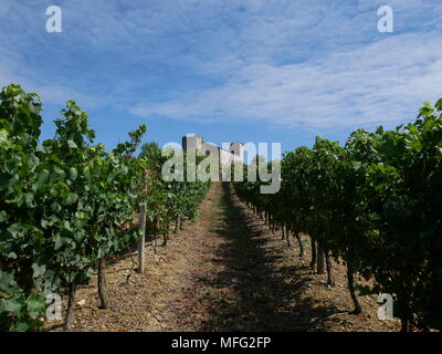 Weinberg in und Chateau in Mansencome, Gascogne, Frankreich. Stockfoto