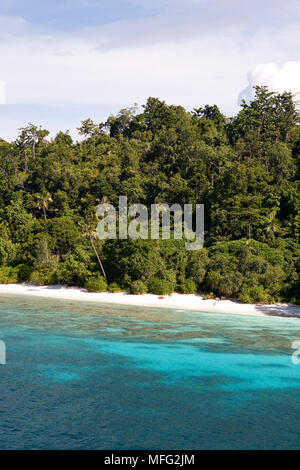 Küste bedeckt mit Palmen, Halmahera, den Molukken, Indonesien, Pazifischer Ozean Stockfoto