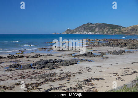 Ebbe am Strand mit goldenem Sand und Felsen, mit Algen im Vordergrund übersät mit Fernsicht auf Nugget Point Lighthouse und die Nuggets. Stockfoto