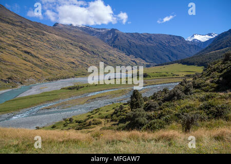 Mit einer allmählichen Aufstieg von River, Rob Roy Gletscher Track im Mount Aspiring National Park, in der Nähe von Wanaka in Neuseeland ist ein beliebter Tag Wanderung oder Tramp Stockfoto