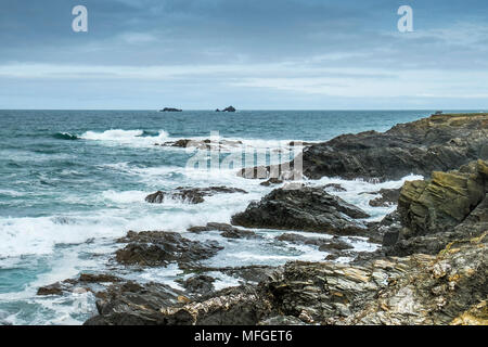 Die kleinen, felsigen Quies Inseln vor der zerklüfteten Küste von Treyarnon Bay an der Küste von North Cornwall. Stockfoto