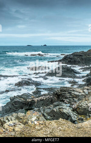 Die quies Inseln vor der Küste von North Cornwall. Stockfoto