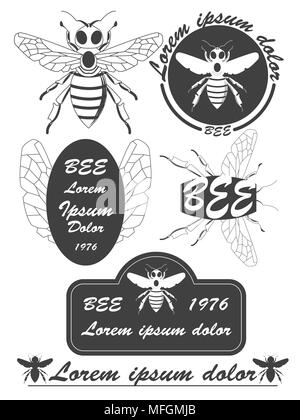 Satz von Vintage Honig, Bienen, Etiketten, Abzeichen und Designelementen. Vector Illustration Stock Vektor