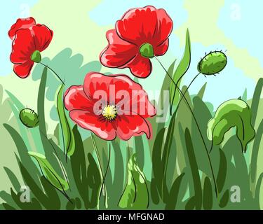 Roter Mohn von Hand bemalt wachsen auf dem Feld mit grünen Blättern. Vector Illustration Stock Vektor