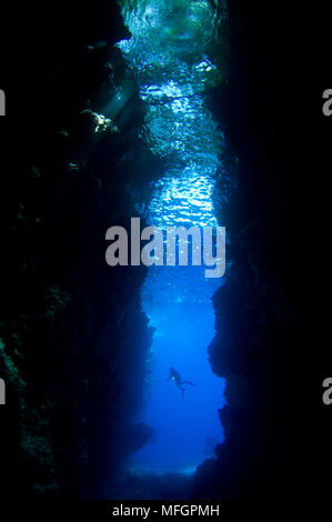 Ein Taucher erkundet die erstaunliche Unterwasserwelt Höhle, bekannt als Lerus, Russell Inseln, Solomons Stockfoto