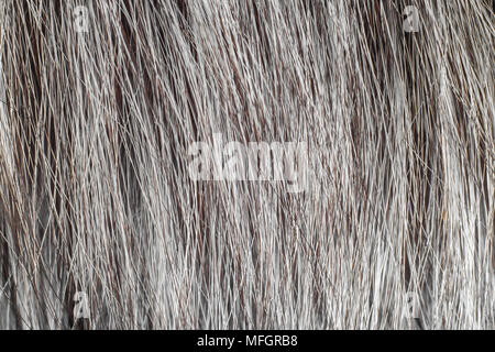 Silber natürlichen Fell Textur Hintergrund Makro. Stockfoto