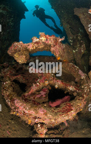 Koralle Encusted Wrack auf der Liberty Wrack, Tulamben, Bali Stockfoto