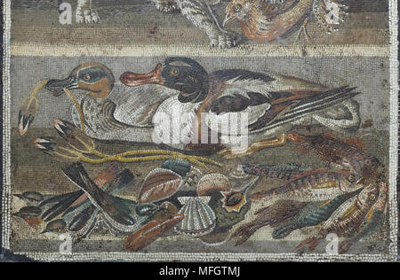 Enten, Vögel, Fische und Schalentiere in der römischen Mosaik aus der Casa del Fauno (Haus des Faun) in Pompeji dargestellt, nun im Nationalen Archäologischen Museum (Museo Archeologico Nazionale di Napoli) in Neapel, Kampanien, Italien. Eurasischen teal (Anas crecca) auf der linken und die brandente (Tadorna tadorna) an der rechten sind in der Mosaik dargestellt. Stockfoto