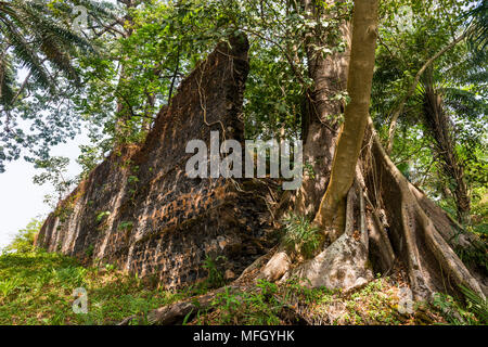 Alte Ruinen der ehemaligen Kolonie auf Bunce Insel, Sierra Leone, West Afrika, Afrika Stockfoto