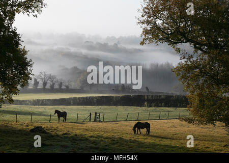 Blick auf den South Downs über Sussex Weald Stockfoto