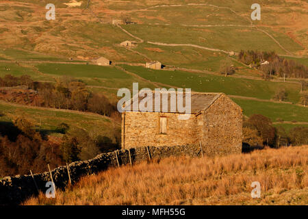 Dale's Scheune in das warme Licht der untergehenden Sonne in der Nähe von Arkengarthdale Reeth auf der Yorkshire Dales National Park, Richmond, Yorkshire, Großbritannien Stockfoto