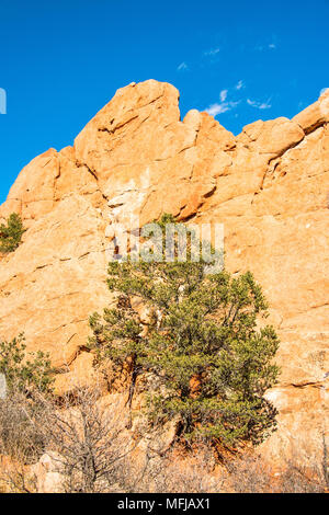 Kathedrale Tal an der Garten der Götter in Colorado Springs, Colorado, USA Stockfoto